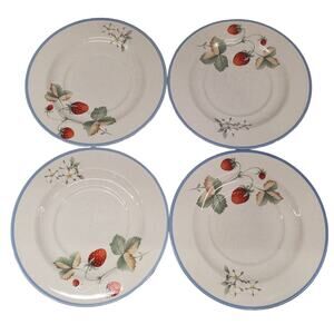 Luscious by Savoir Vivre JJ017 Saucer Plate Vintage Dinner Wear Set of 4